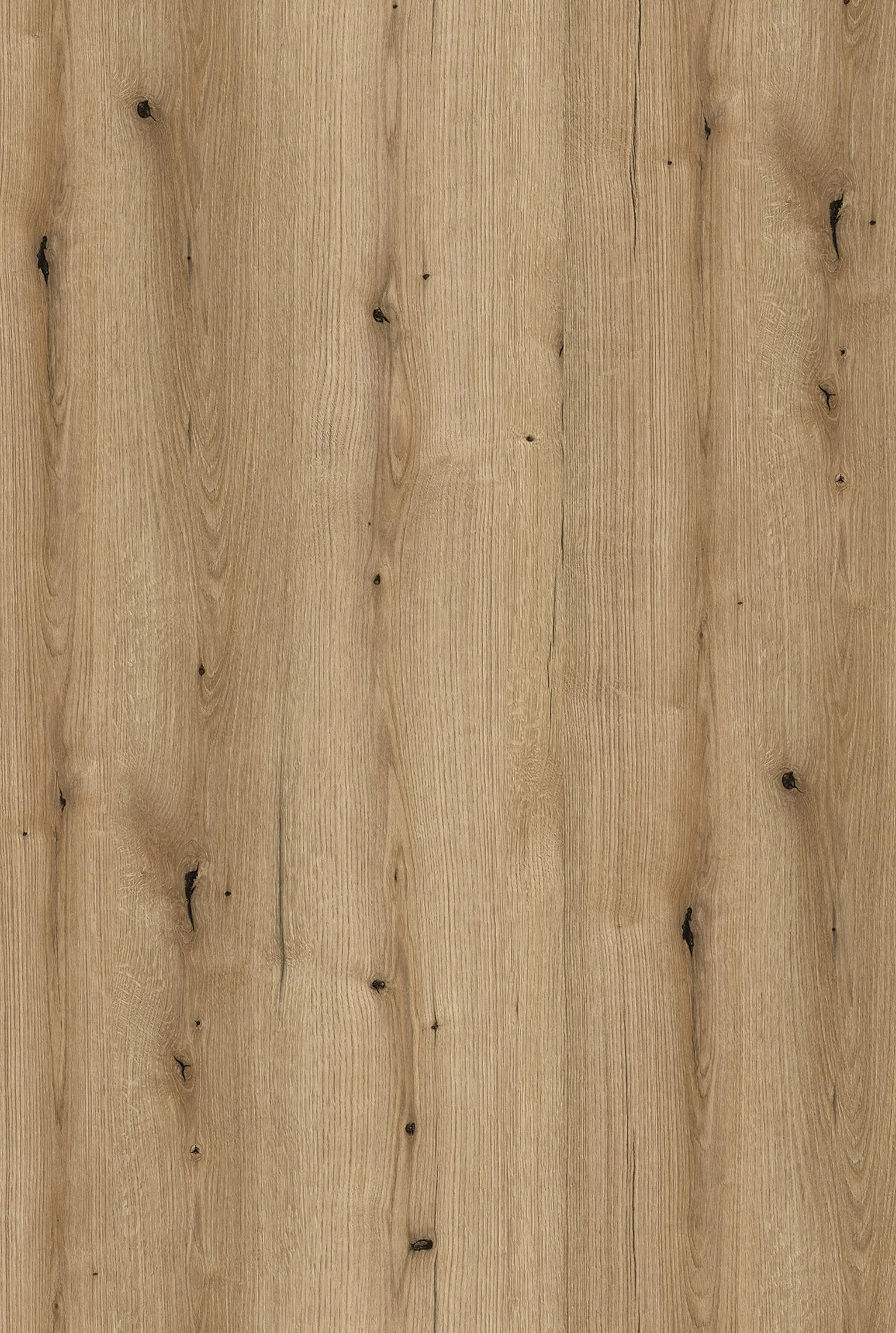 Melamine Faced Particle Board - K365 Coast Evoke Oak | WOODca